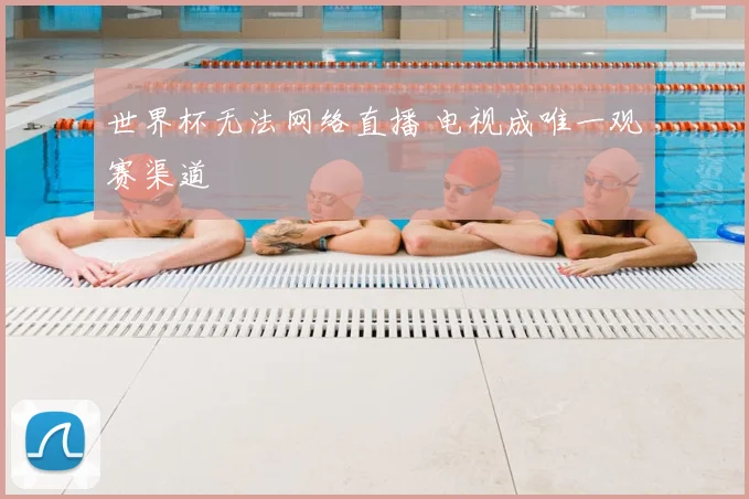 世界杯无法网络直播 电视成唯一观赛渠道