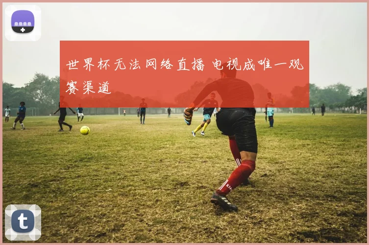 世界杯无法网络直播 电视成唯一观赛渠道