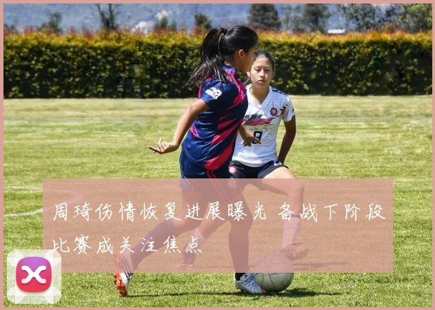周琦伤情恢复进展曝光 备战下阶段比赛成关注焦点